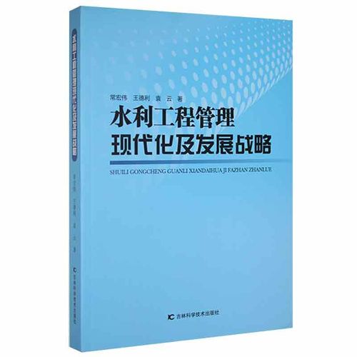 发展战略 常宏伟,王德利,袁云 水利电力水电基础工程科学技术研究书籍
